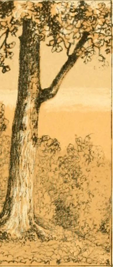 An illustration from The homes of our forefathers. Being a selection of the oldest and most interesting historical houses, and noted places in Maine, New Hampshire and Vermont, 1886, leaf 36
