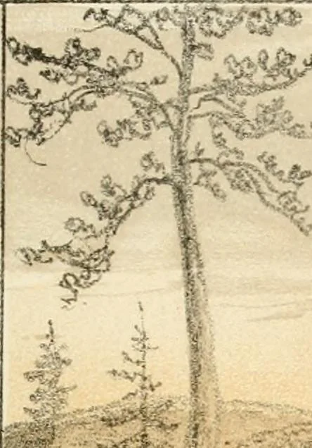 An illustration from The homes of our forefathers. Being a selection of the oldest and most interesting buildings, historical houses, and noted places in Massachusetts. From original drawings made on the spot by Edwin Whitefield, 1880, leaf 14