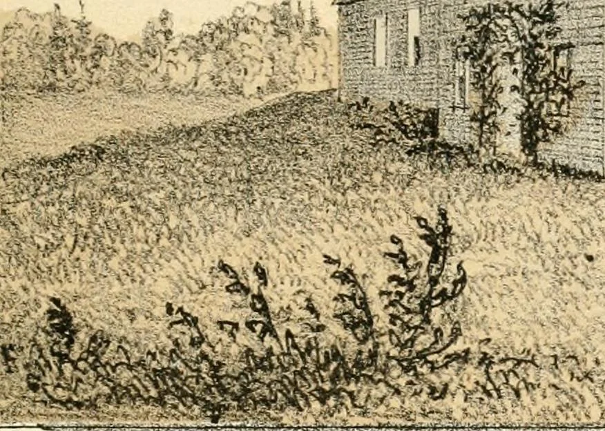 An illustration from The homes of our forefathers. Being a selection of the oldest and most interesting buildings, historical houses, and noted places in Massachusetts. From original drawings made on the spot by Edwin Whitefield, 1880, leaf 16