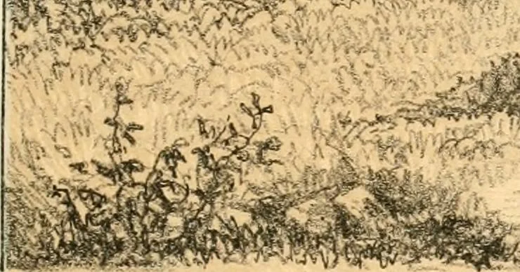 An illustration from The homes of our forefathers. Being a selection of the oldest and most interesting buildings, historical houses, and noted places in Massachusetts. From original drawings made on the spot by Edwin Whitefield, 1880, leaf 76