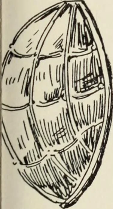An illustration from Homes and their decoration, 1903, leaf 432