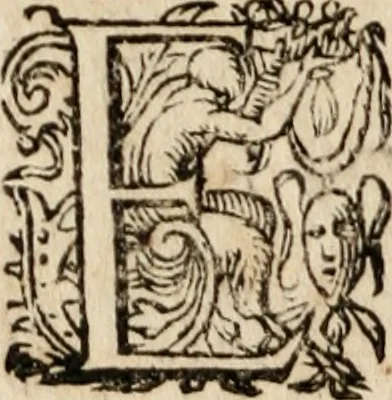 An illustration from Homiliae ... in historiam Domini resvrectionis, ex Gallicis Latinae factae, 1593, leaf 205
