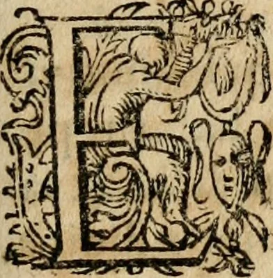 An illustration from Homiliae ... in historiam Domini resvrectionis, ex Gallicis Latinae factae, 1593, leaf 258