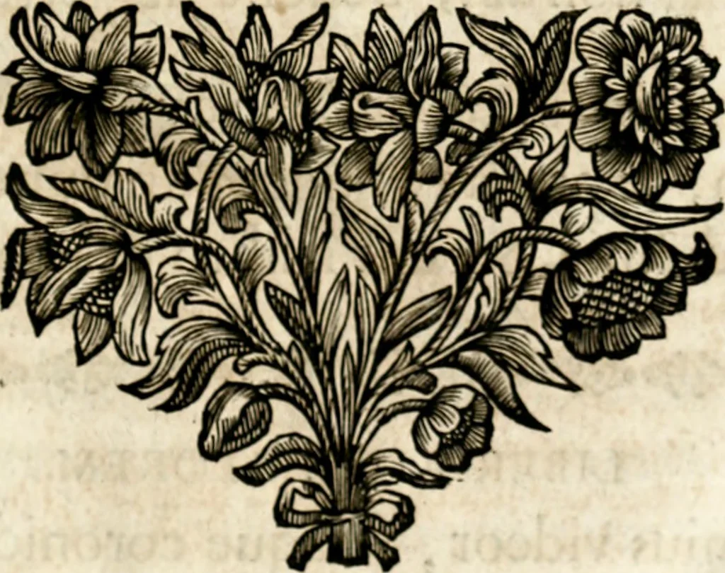 An illustration from Homo et ejus partes figuratus & symbolicus, anatomicus, rationalis, moralis, mysticus, politicus, & legalis : collectus et explicatus cum figuris, symbolis, anatomiis, factis, emblematicus, moralibus, mysticis, proverbiis, hieroglyphicis, prodigiis, simulacris, statuis, historiis, ritibus, observationibus, moribus, numismatibus, dedicationibus, signaturis, significationibus literarum, epithetis, fabulis, miris, physiognomicis, & somniis ; reflexionibus et declarationibus tam ex sacris quàm profanis auctoribus desumptis, 1695, leaf 14