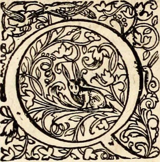 An illustration from Homo et ejus partes figuratus & symbolicus, anatomicus, rationalis, moralis, mysticus, politicus, & legalis : collectus et explicatus cum figuris, symbolis, anatomiis, factis, emblematicus, moralibus, mysticis, proverbiis, hieroglyphicis, prodigiis, simulacris, statuis, historiis, ritibus, observationibus, moribus, numismatibus, dedicationibus, signaturis, significationibus literarum, epithetis, fabulis, miris, physiognomicis, & somniis ; reflexionibus et declarationibus tam ex sacris quàm profanis auctoribus desumptis, 1695, leaf 19