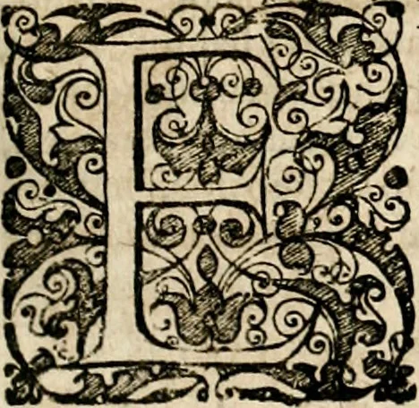 An illustration from Homo et ejus partes figuratus & symbolicus, anatomicus, rationalis, moralis, mysticus, politicus, & legalis : collectus et explicatus cum figuris, symbolis, anatomiis, factis, emblematicus, moralibus, mysticis, proverbiis, hieroglyphicis, prodigiis, simulacris, statuis, historiis, ritibus, observationibus, moribus, numismatibus, dedicationibus, signaturis, significationibus literarum, epithetis, fabulis, miris, physiognomicis, & somniis ; reflexionibus et declarationibus tam ex sacris quàm profanis auctoribus desumptis, 1695, leaf 24