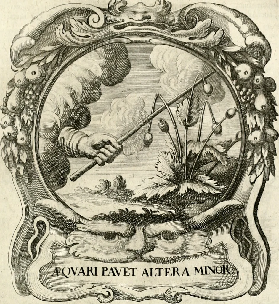 An illustration from Homo et ejus partes figuratus & symbolicus, anatomicus, rationalis, moralis, mysticus, politicus, & legalis : collectus et explicatus cum figuris, symbolis, anatomiis, factis, emblematicus, moralibus, mysticis, proverbiis, hieroglyphicis, prodigiis, simulacris, statuis, historiis, ritibus, observationibus, moribus, numismatibus, dedicationibus, signaturis, significationibus literarum, epithetis, fabulis, miris, physiognomicis, & somniis ; reflexionibus et declarationibus tam ex sacris quàm profanis auctoribus desumptis, 1695, leaf 244