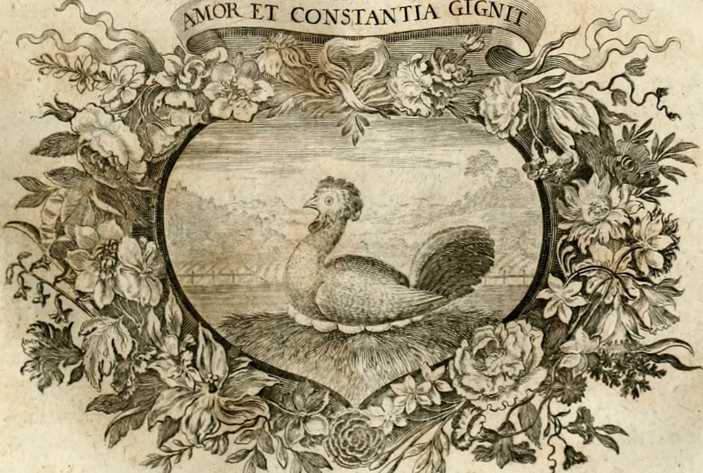 An illustration from Homo et ejus partes figuratus & symbolicus, anatomicus, rationalis, moralis, mysticus, politicus, & legalis : collectus et explicatus cum figuris, symbolis, anatomiis, factis, emblematicus, moralibus, mysticis, proverbiis, hieroglyphicis, prodigiis, simulacris, statuis, historiis, ritibus, observationibus, moribus, numismatibus, dedicationibus, signaturis, significationibus literarum, epithetis, fabulis, miris, physiognomicis, & somniis ; reflexionibus et declarationibus tam ex sacris quàm profanis auctoribus desumptis, 1695, leaf 444