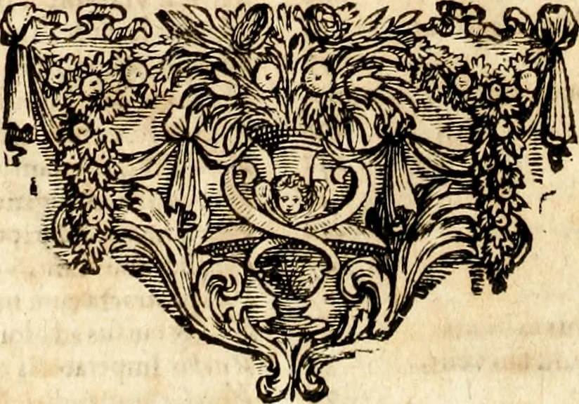 An illustration from Homo et ejus partes figuratus & symbolicus, anatomicus, rationalis, moralis, mysticus, politicus, & legalis : collectus et explicatus cum figuris, symbolis, anatomiis, factis, emblematicus, moralibus, mysticis, proverbiis, hieroglyphicis, prodigiis, simulacris, statuis, historiis, ritibus, observationibus, moribus, numismatibus, dedicationibus, signaturis, significationibus literarum, epithetis, fabulis, miris, physiognomicis, & somniis ; reflexionibus et declarationibus tam ex sacris quàm profanis auctoribus desumptis, 1695, leaf 749