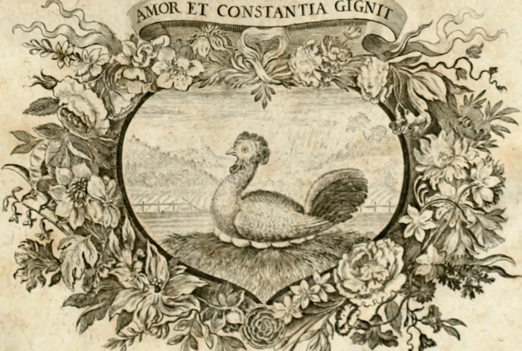 An illustration from Homo et ejus partes figuratus & symbolicus, anatomicus, rationalis, moralis, mysticus, politicus, & legalis : collectus et explicatus cum figuris, symbolis, anatomiis, factis, emblematicus, moralibus, mysticis, proverbiis, hieroglyphicis, prodigiis, simulacris, statuis, historiis, ritibus, observationibus, moribus, numismatibus, dedicationibus, signaturis, significationibus literarum, epithetis, fabulis, miris, physiognomicis, & somniis ; reflexionibus et declarationibus tam ex sacris quàm profanis auctoribus desumptis, 1695, leaf 8