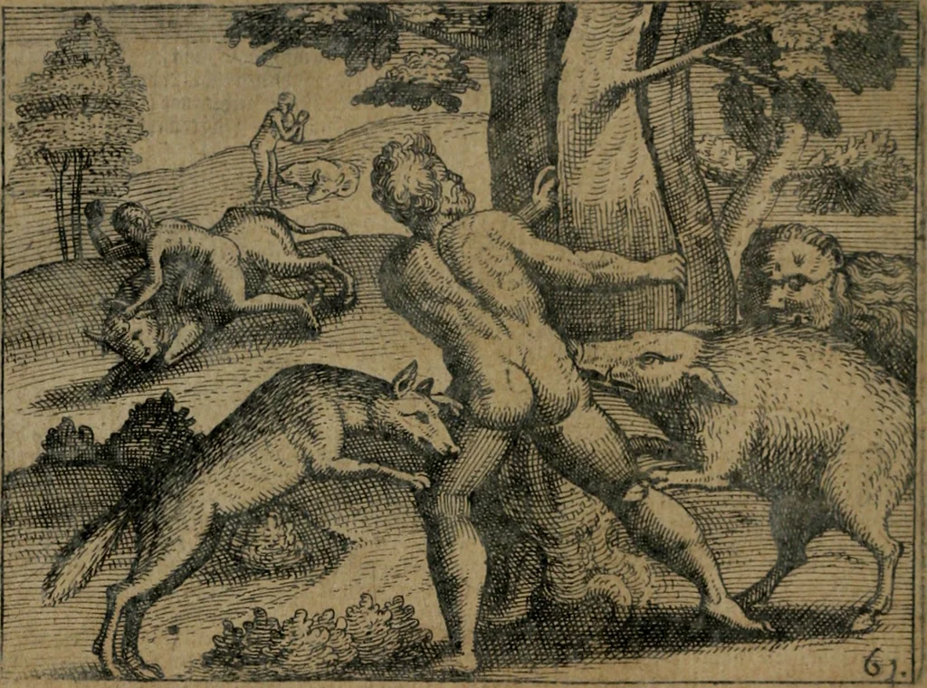 An illustration from Homo microcosmus, hoc est: parvus mundus, macrocosmo, id est: magno mundo, in variis æri incisis figuris totq; carminibus Latinis, per selectiores veterum poëtarum fabulas, nec non elegantiores quasdam historias, emblematice expositus; cujus hæc editio tertia. In qua Latina ista carmina puris rhythmis, Germanicis sunt donata ... Opus, non solùm ad studiosæ juventutis, sed etiam pictorum, sculptorum ... usum et delectationem adornatum, 1670, leaf 135