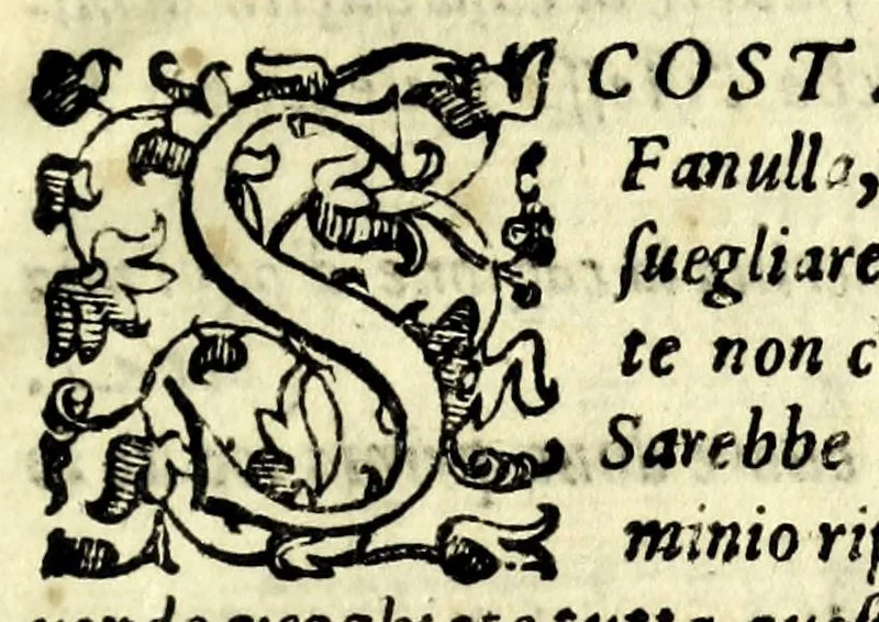 An illustration from Honesta schiava : comedia, 1601, leaf 11