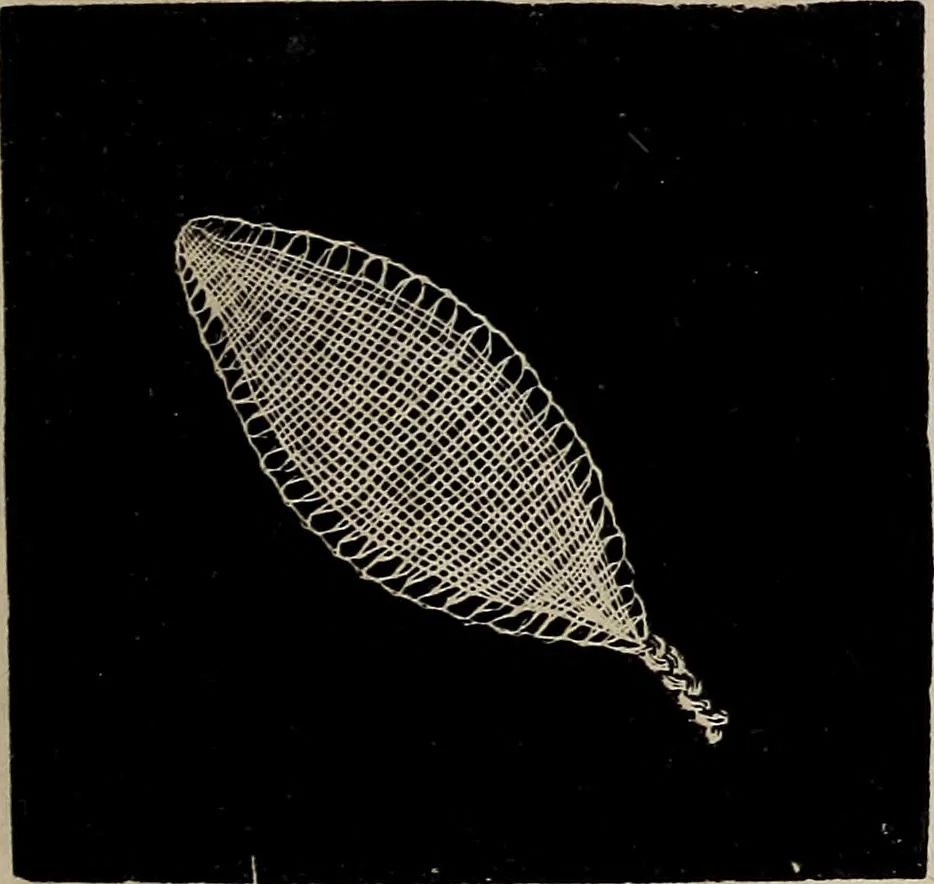 An illustration from The Honiton lace book, 1875, leaf 14