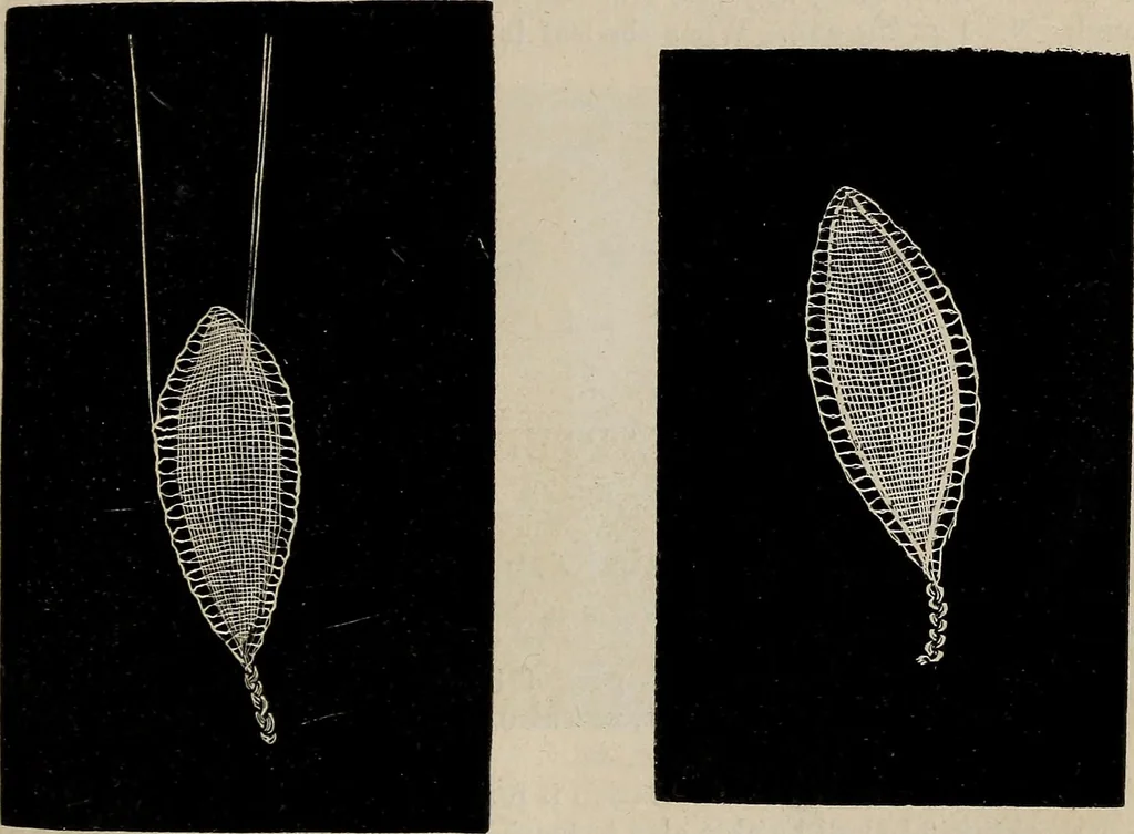 An illustration from The Honiton lace book, 1875, leaf 16