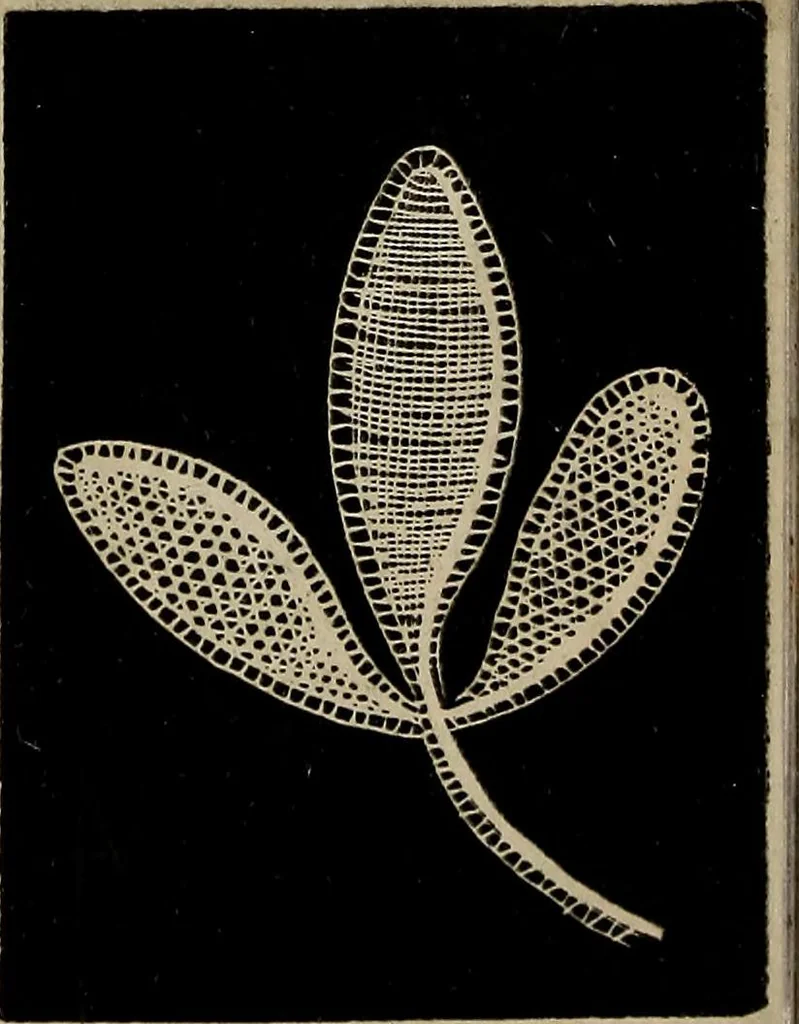 An illustration from The Honiton lace book, 1875, leaf 29