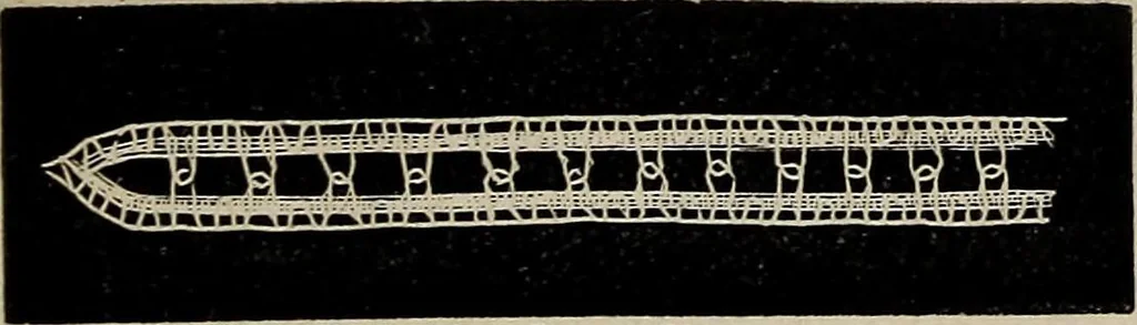 An illustration from The Honiton lace book, 1875, leaf 38
