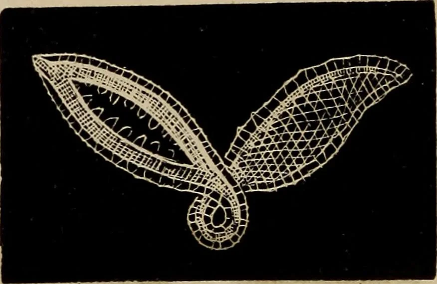 An illustration from The Honiton lace book, 1875, leaf 41