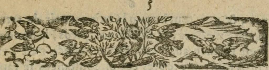 An illustration from Honnevr fvnebre a l'hevrevse memoire de la Madame la princesse de Conty, 1602, leaf 8