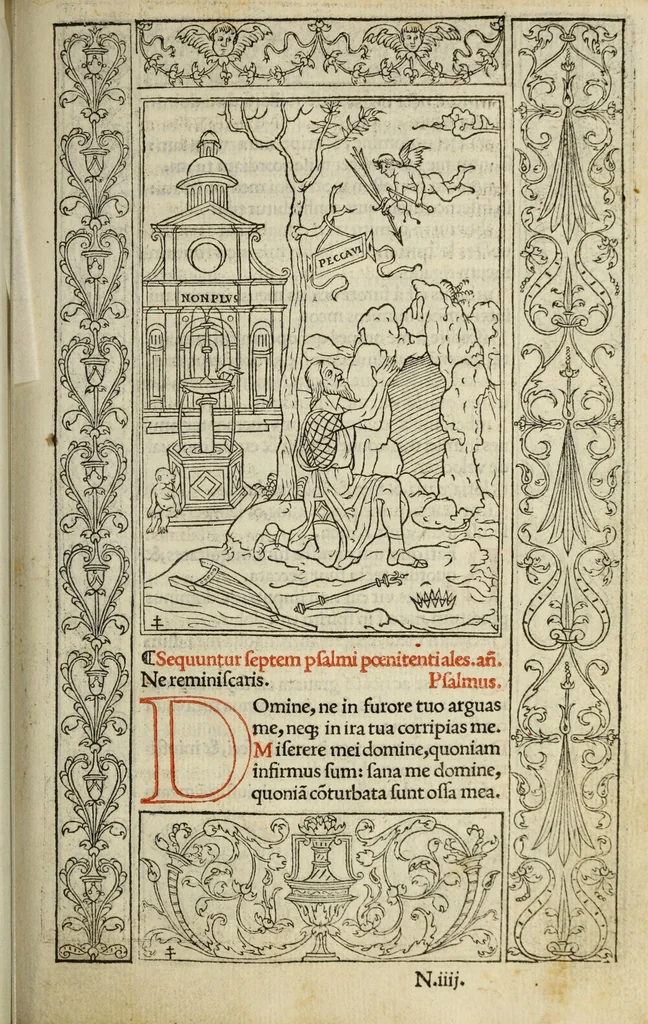 An illustration from Horae in laudem beatiss. semper virginis Mariae, secundum consuetudinem curiae Romanae, vbi orthographia, puncta, & accentus suis locis habentur, 1525, leaf 205