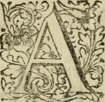 An illustration from Horapollinis Hieroglyphica graece & latine : cum integris observationibus & notis Joann. Merceri & David. Hoeschelii, et selectis Nicolai Caussini, 1727, leaf 23