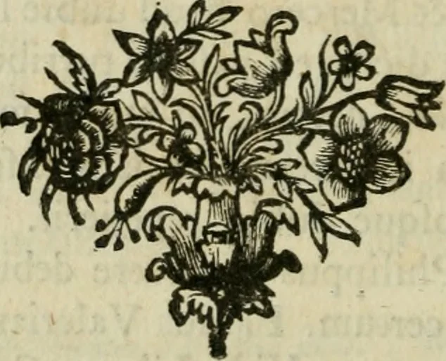 An illustration from Horapollinis Hieroglyphica graece & latine : cum integris observationibus & notis Joann. Merceri & David. Hoeschelii, et selectis Nicolai Caussini, 1727, leaf 425