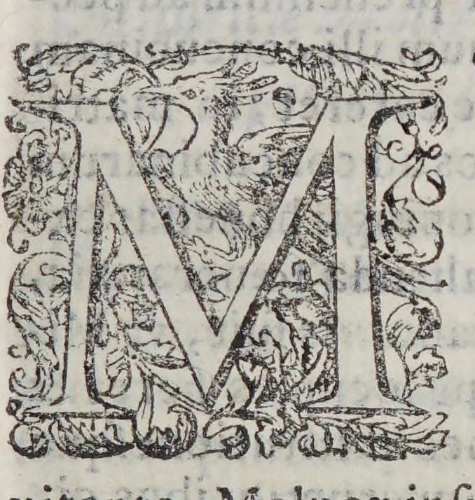 An illustration from Horatii Tursellini e Societate Iesu De vita Francisci Xauerii qui primus e Societate Iesu in Indiam & Iaponiam euangelium inuexit. Libri sex., 1596, leaf 121