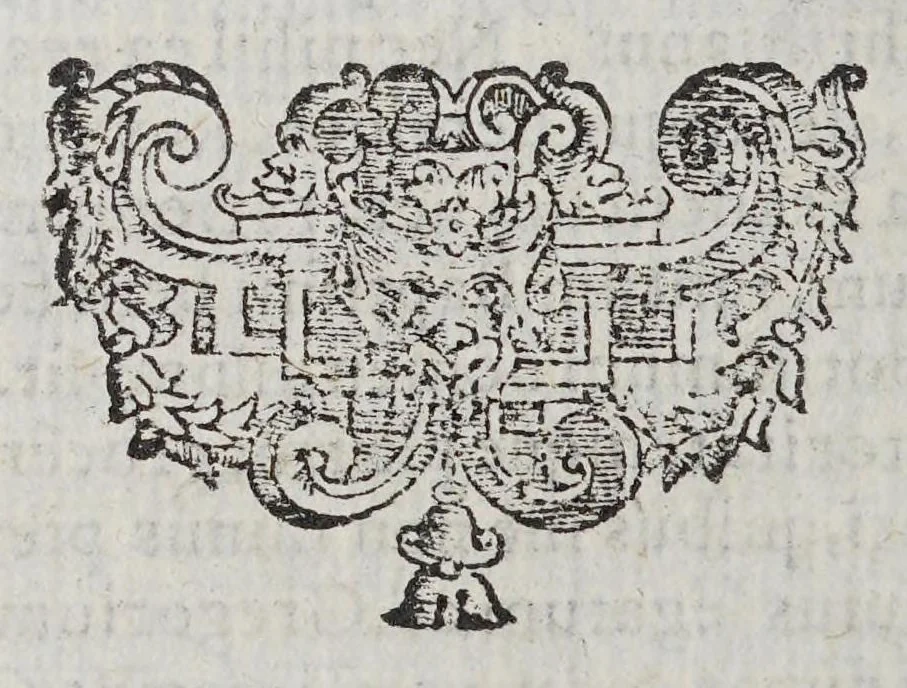 An illustration from Horatii Tursellini e Societate Iesu De vita Francisci Xauerii qui primus e Societate Iesu in Indiam & Iaponiam euangelium inuexit. Libri sex., 1596, leaf 208