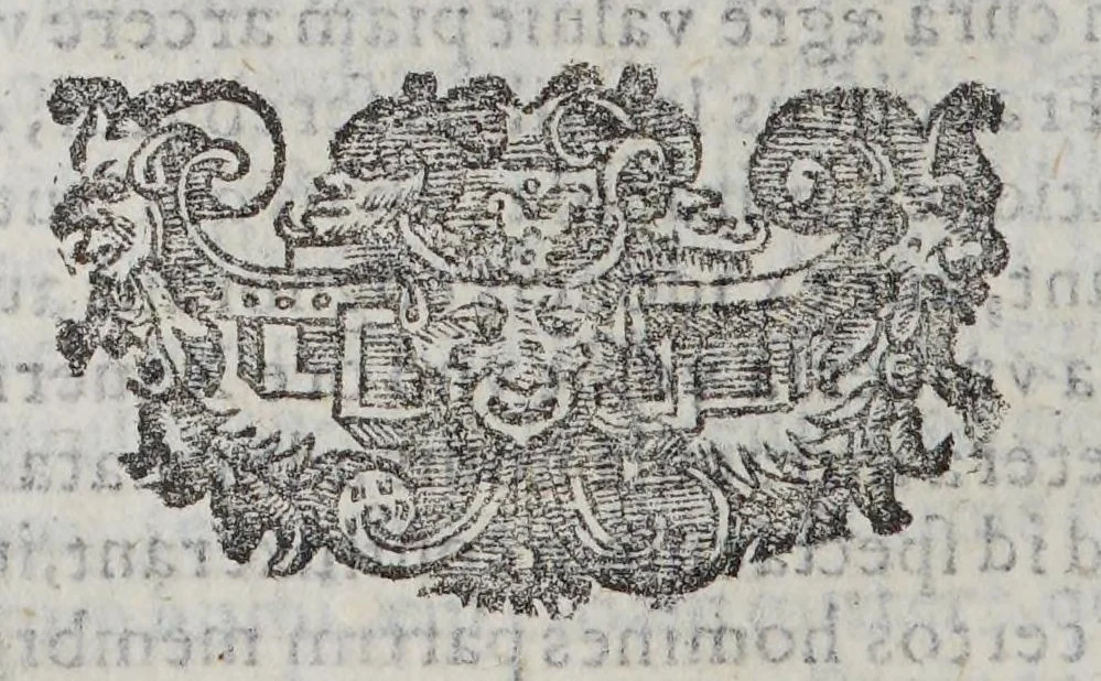 An illustration from Horatii Tursellini e Societate Iesu De vita Francisci Xauerii qui primus e Societate Iesu in Indiam & Iaponiam euangelium inuexit. Libri sex., 1596, leaf 254