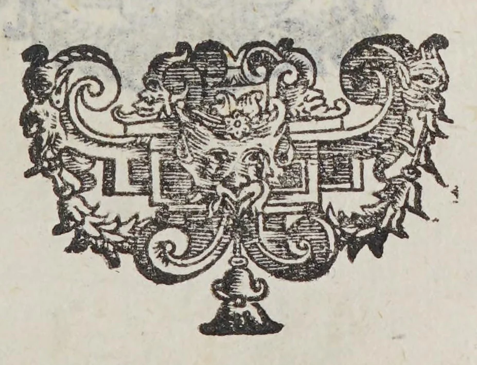 An illustration from Horatii Tursellini e Societate Iesu De vita Francisci Xauerii qui primus e Societate Iesu in Indiam & Iaponiam euangelium inuexit. Libri sex., 1596, leaf 337