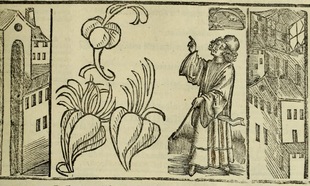 An illustration from Horatij Flacci Venusini. Poete lirici Opera : cu[m] quibusdam annotatio[n]ib[us]. Imaginibusq[ue] pulcherrimis. aptisq[ue] ad Odaru[m] concentus & sententias, leaf 205