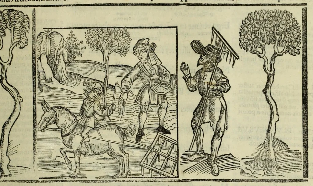 An illustration from Horatij Flacci Venusini. Poete lirici Opera : cu[m] quibusdam annotatio[n]ib[us]. Imaginibusq[ue] pulcherrimis. aptisq[ue] ad Odaru[m] concentus & sententias, leaf 337