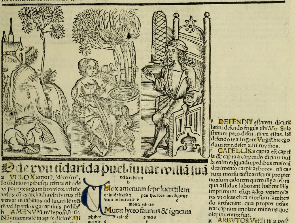 An illustration from Horatij Flacci Venusini. Poete lirici Opera : cu[m] quibusdam annotatio[n]ib[us]. Imaginibusq[ue] pulcherrimis. aptisq[ue] ad Odaru[m] concentus & sententias, leaf 51