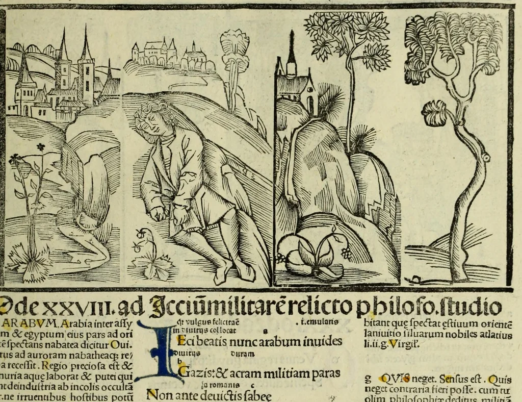 An illustration from Horatij Flacci Venusini. Poete lirici Opera : cu[m] quibusdam annotatio[n]ib[us]. Imaginibusq[ue] pulcherrimis. aptisq[ue] ad Odaru[m] concentus & sententias, leaf 67