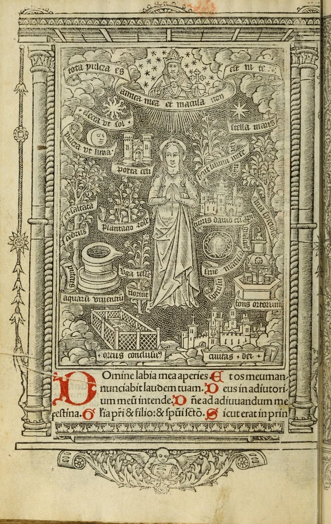 An illustration from Hore dive [vir]ginis Marie : s[e]c[un]d[u]m veru[m] vsum romanu[m], cum aliis multis folio sequenti notatis, vna cum figuris apocalipsis post figuras Biblie recenter insertis, 1505, leaf 166