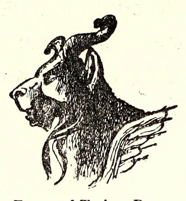 An illustration from Horns of honour, and other studies in the by-ways of archaeology, 1900, leaf 138