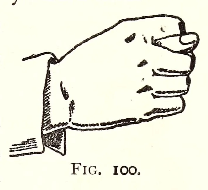 An illustration from Horns of honour, and other studies in the by-ways of archaeology, 1900, leaf 199