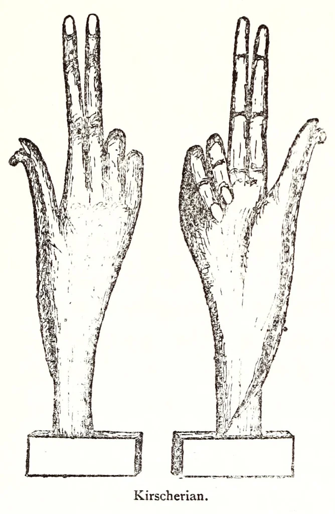 An illustration from Horns of honour, and other studies in the by-ways of archaeology, 1900, leaf 280