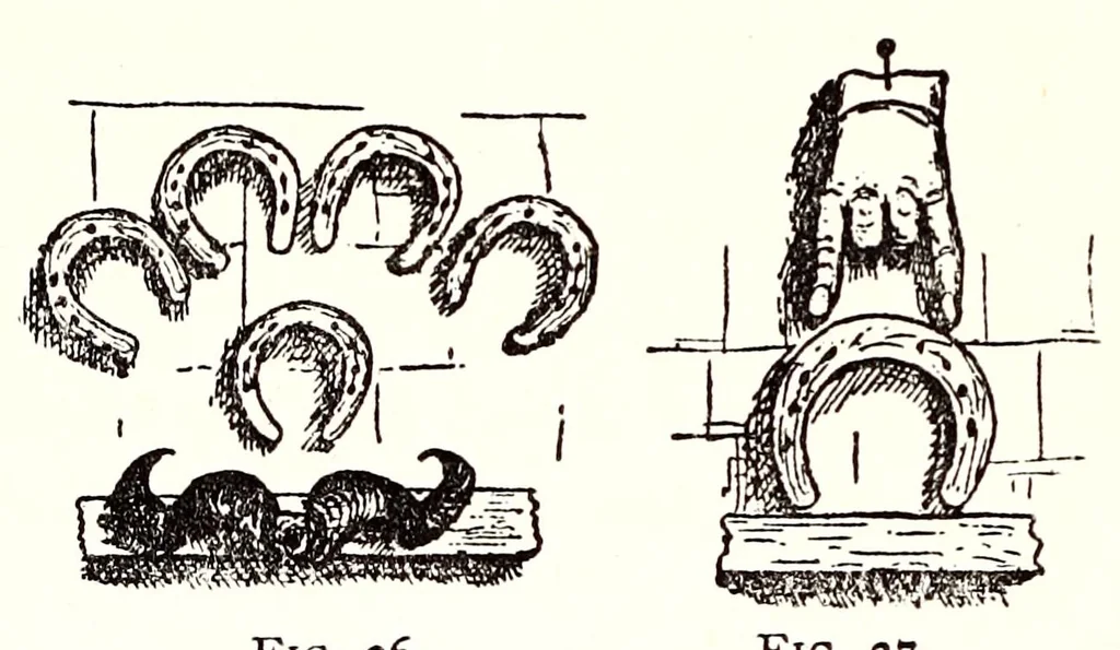 An illustration from Horns of honour, and other studies in the by-ways of archaeology, 1900, leaf 78
