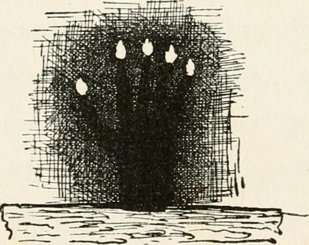 An illustration from Horns of honour : and other studies in the by-ways of archaeology, 1900, leaf 13
