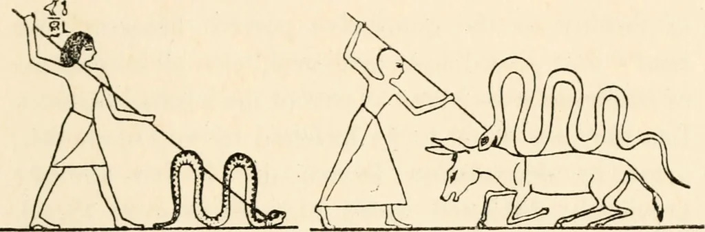 An illustration from Horns of honour : and other studies in the by-ways of archaeology, 1900, leaf 138