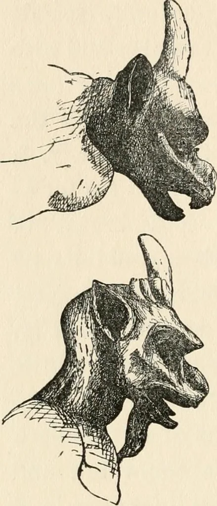 An illustration from Horns of honour : and other studies in the by-ways of archaeology, 1900, leaf 149