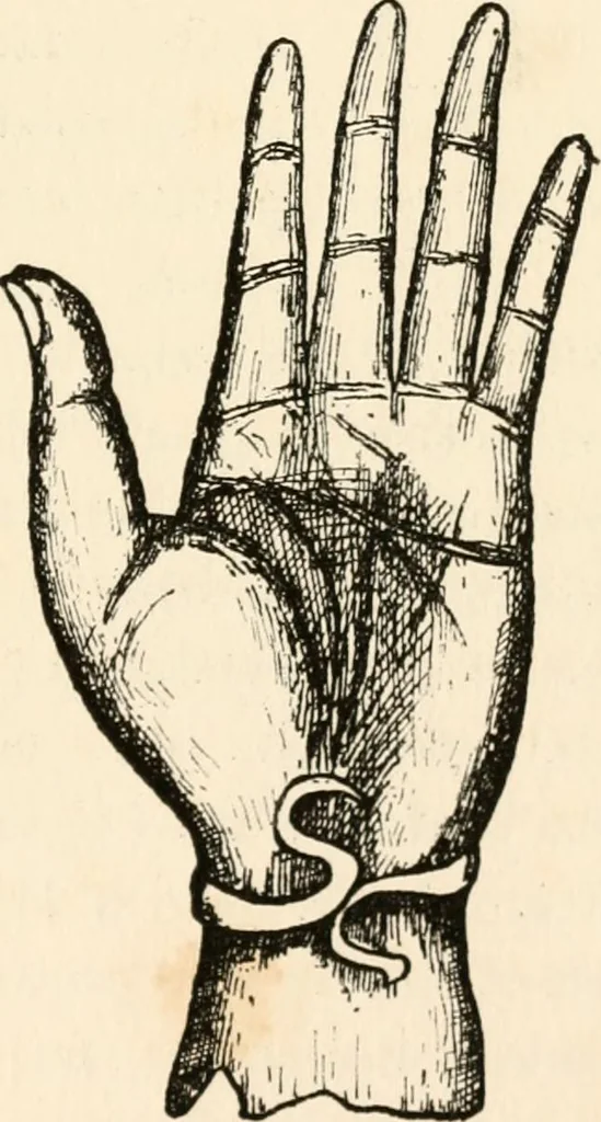 An illustration from Horns of honour : and other studies in the by-ways of archaeology, 1900, leaf 188