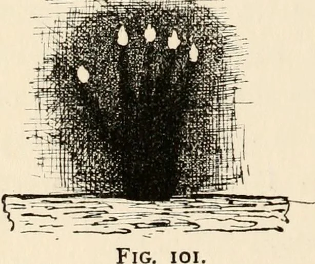 An illustration from Horns of honour : and other studies in the by-ways of archaeology, 1900, leaf 199
