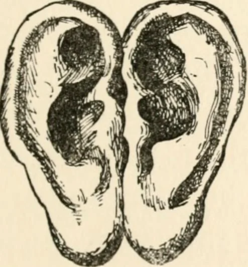 An illustration from Horns of honour : and other studies in the by-ways of archaeology, 1900, leaf 232