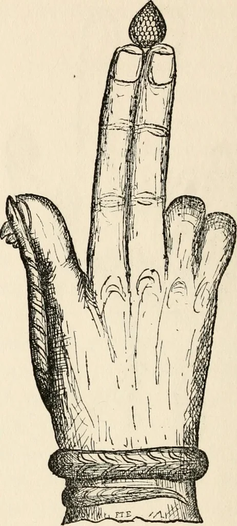 An illustration from Horns of honour : and other studies in the by-ways of archaeology, 1900, leaf 255