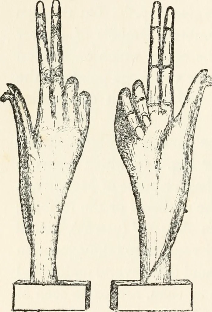 An illustration from Horns of honour : and other studies in the by-ways of archaeology, 1900, leaf 275