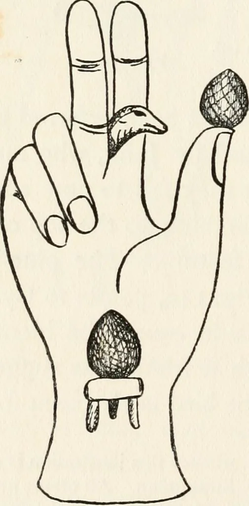 An illustration from Horns of honour : and other studies in the by-ways of archaeology, 1900, leaf 277