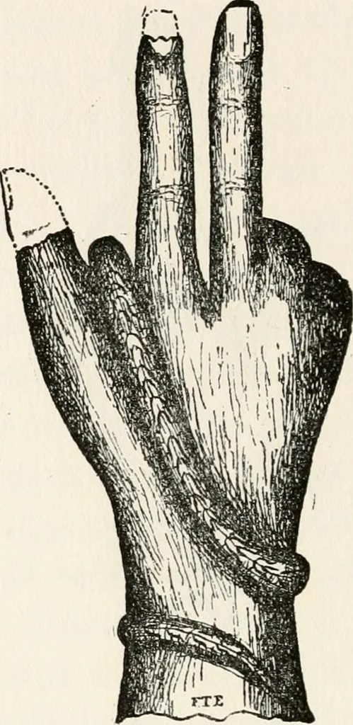 An illustration from Horns of honour : and other studies in the by-ways of archaeology, 1900, leaf 281