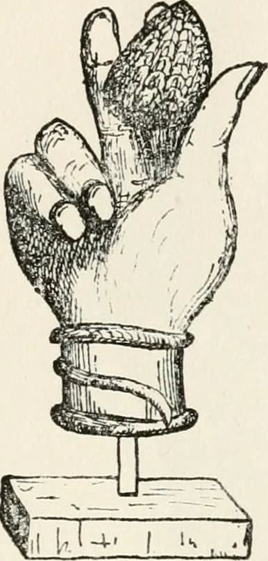 An illustration from Horns of honour : and other studies in the by-ways of archaeology, 1900, leaf 283