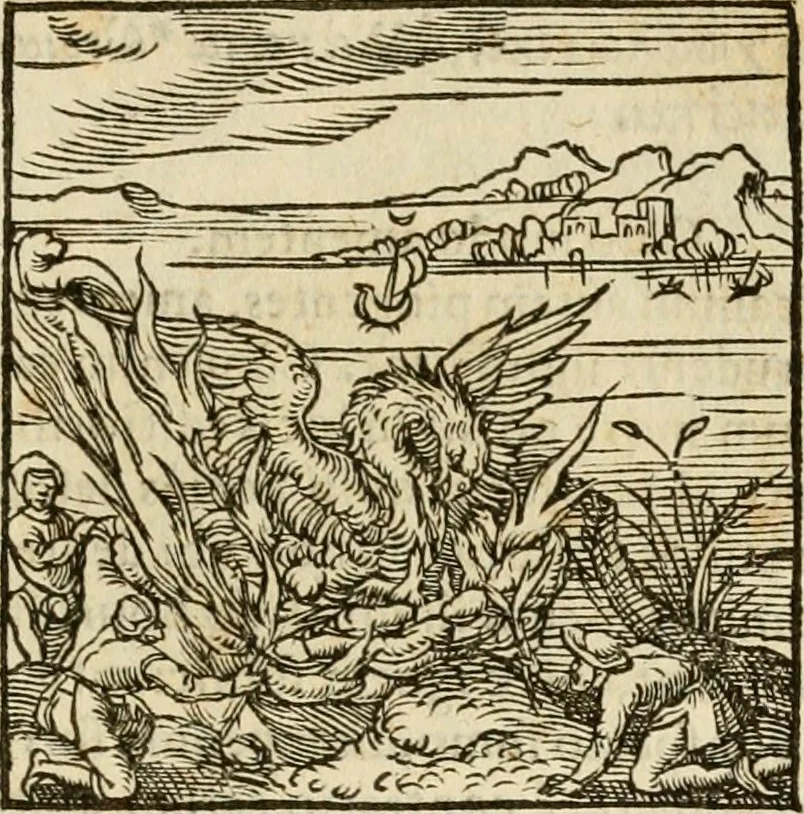 An illustration from Horou Apollonos neiloou Hieroglyphika = Ori Apollinis niliaci, De sacris notis & sculpturis libri duo, 1551, leaf 100